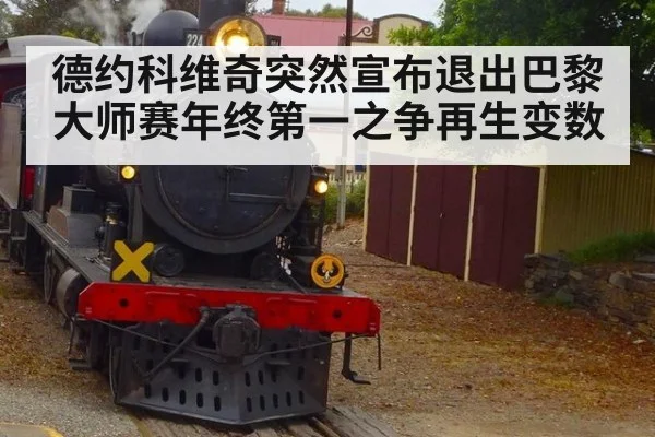 德约科维奇突然宣布退出巴黎大师赛年终第一之争再生变数
